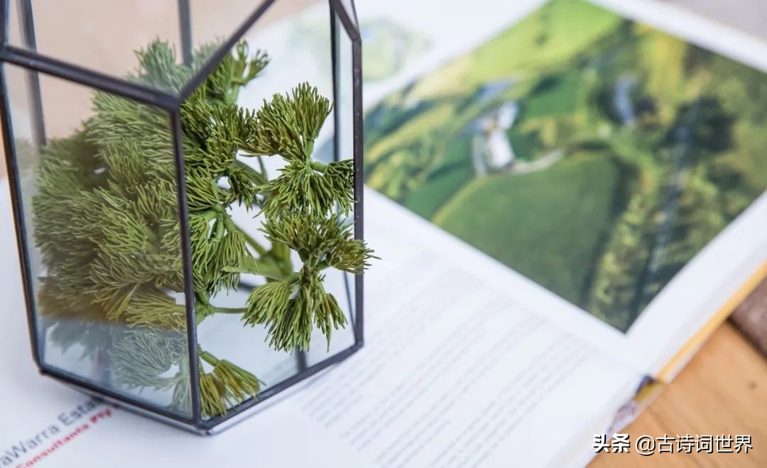 形容诗写得很唯美的四字成语,100个四字成语优美的古诗词