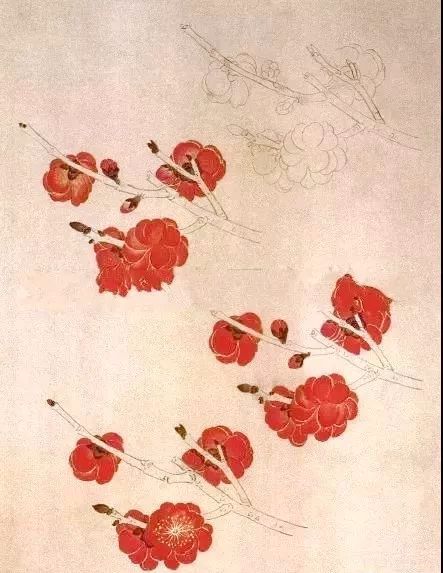 工笔梅花的分染上色教程,工笔梅花的10种设色技法收藏起来