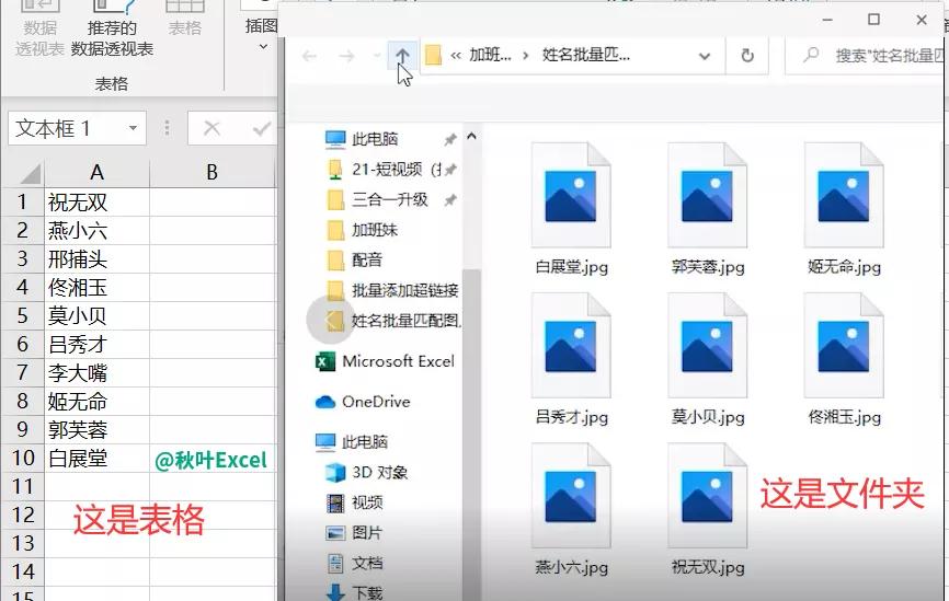 图片太多怎么插入表格里,图片插入表格的正确方法