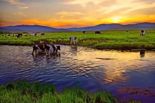 呼伦贝尔山区自然风景,呼伦贝尔沿途风景