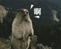 让皮肤发亮的喷雾,抗老补水水润喷雾