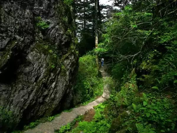 各地水果特产一览表,各地特产礼品一览表