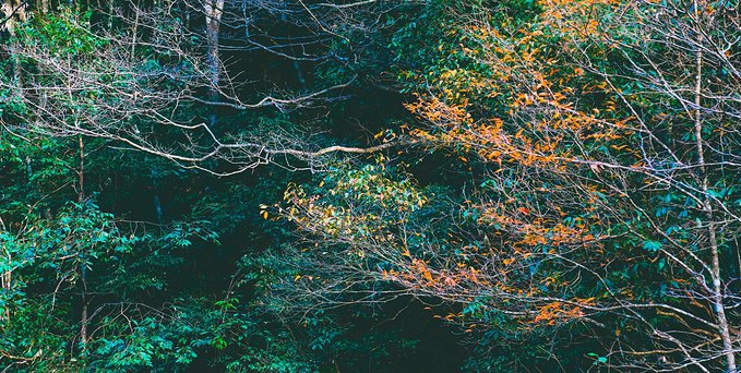 一起游玩泰顺,小众旅游泰顺