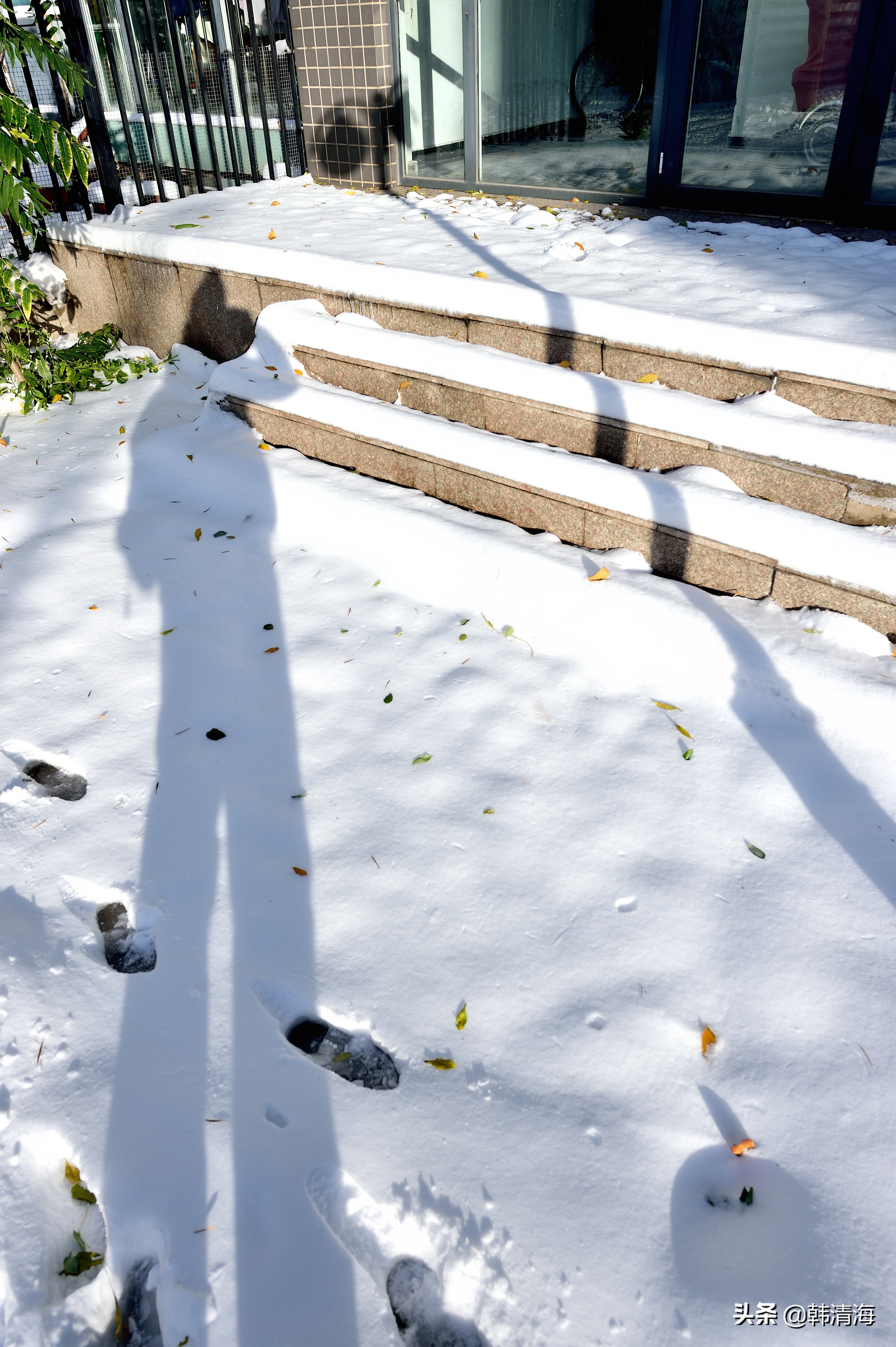 天津2022年雪景,天津第一场雪的美景