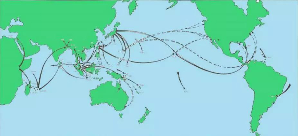 南方大蜗牛泛滥,下雨天出现的大蜗牛可以吃吗