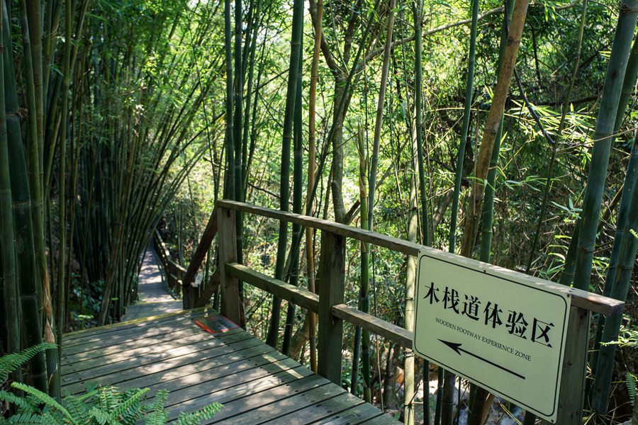 华侨城特价酒店,深圳华侨城酒店特惠