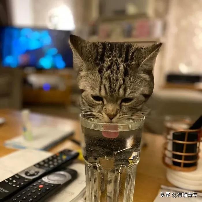 男子报警21岁喜当爹,男子喜当爹做了一件荒唐事