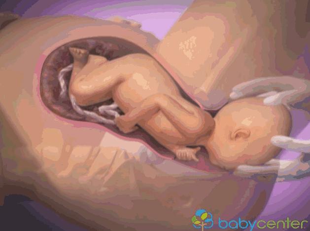 胎儿离开母体可以存活多久,胎儿脱离的瞬间