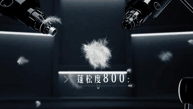 国外明星穿波司登,好莱坞明星穿的大牌