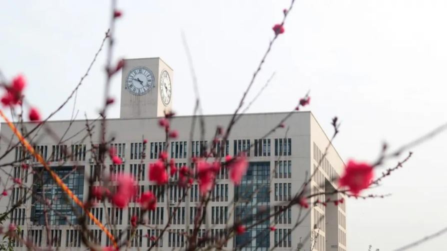 重庆大学的进步,重庆进步最快的大学是哪所