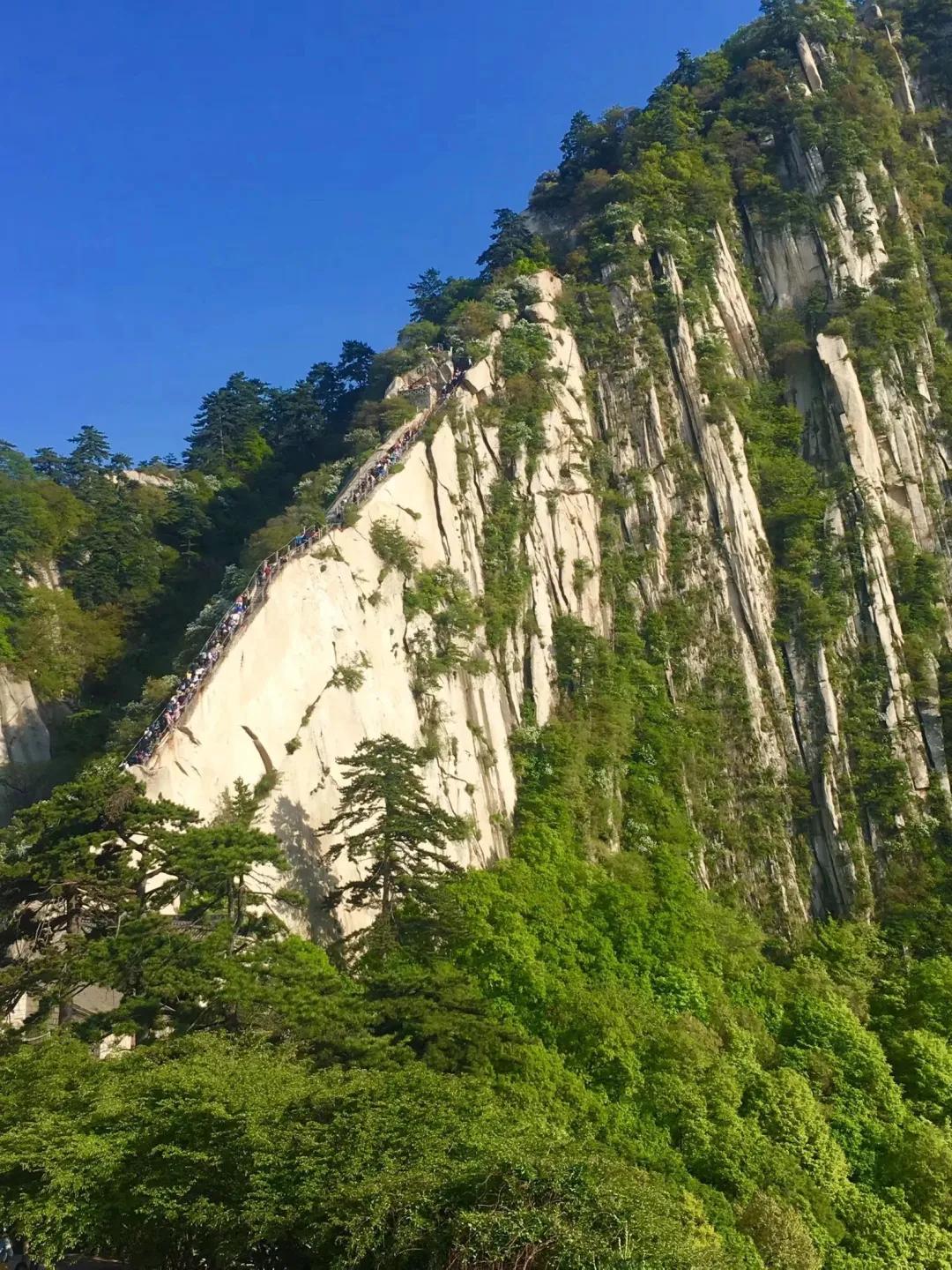 华山景区预约攻略图文解说,华山旅游攻略春季景点免费预约