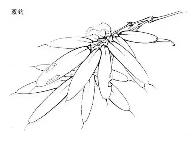 工笔画红叶染色技法,工笔画牡丹花头染色技法步骤