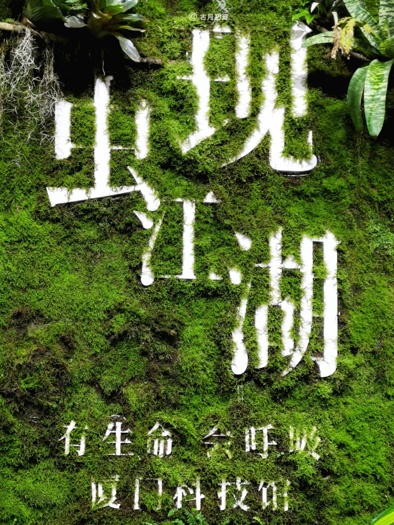 厦门科技馆游玩攻略2-3岁儿童,厦门科技馆每一个馆只能玩一次吗