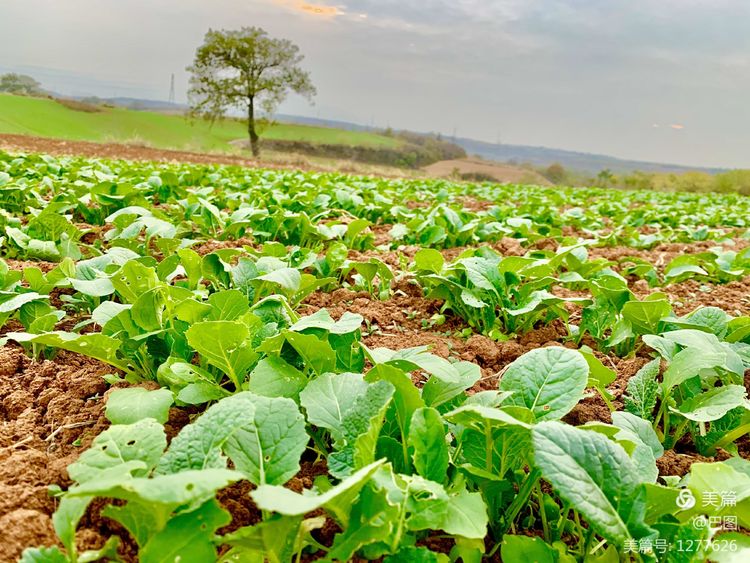 洛阳市宜阳凤凰岭射箭,宜阳县凤凰岭体育基地
