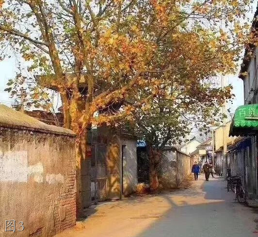 海安影剧院老照片,海安火车站老图片