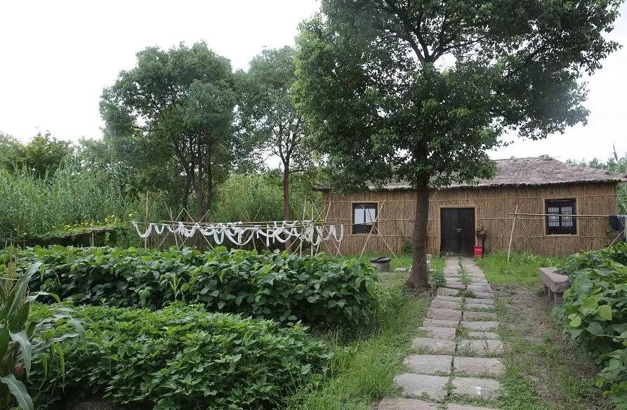 沙家浜景区医护人员免费吗,沙家浜风景区免费开放怎么预约的