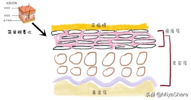 皮肤敏感用护肤品多久可以好,用护肤品皮肤敏感