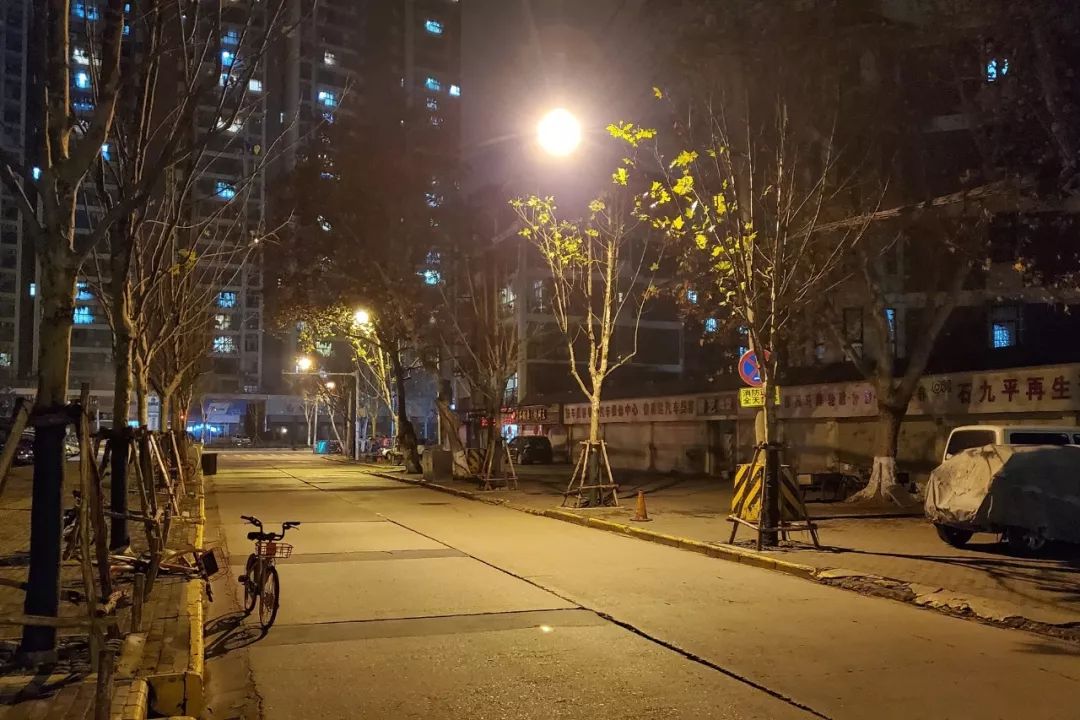 封城11日，武汉众生图