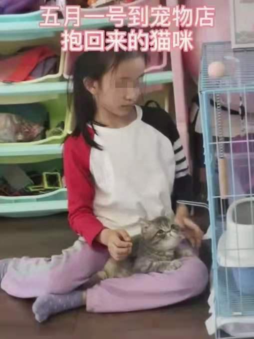 新手养猫怎么避免真菌头癣,养猫得猫癣头秃