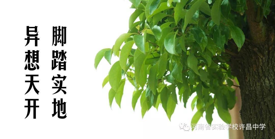 河南省实验学校许昌中学官网,2017许昌实验中学招生