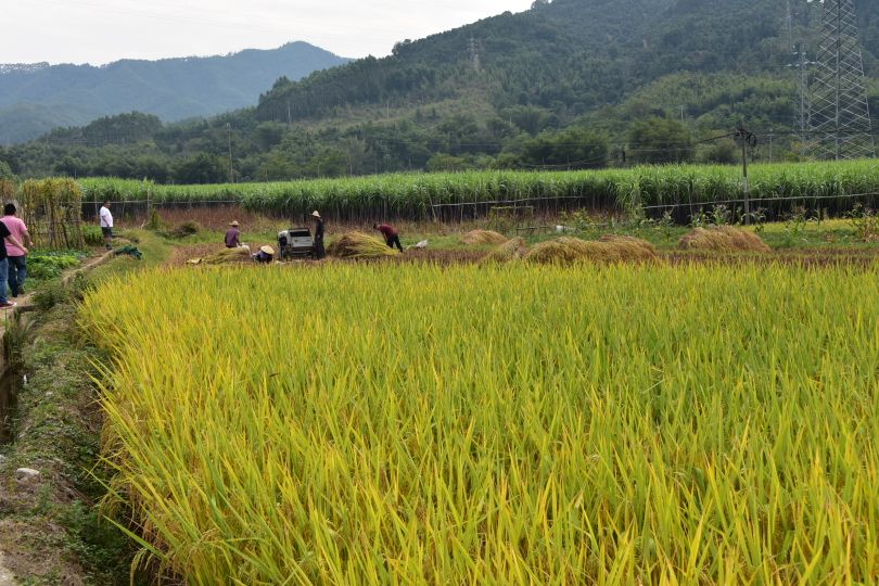 广州到粤北自驾游攻略,粤北自驾游