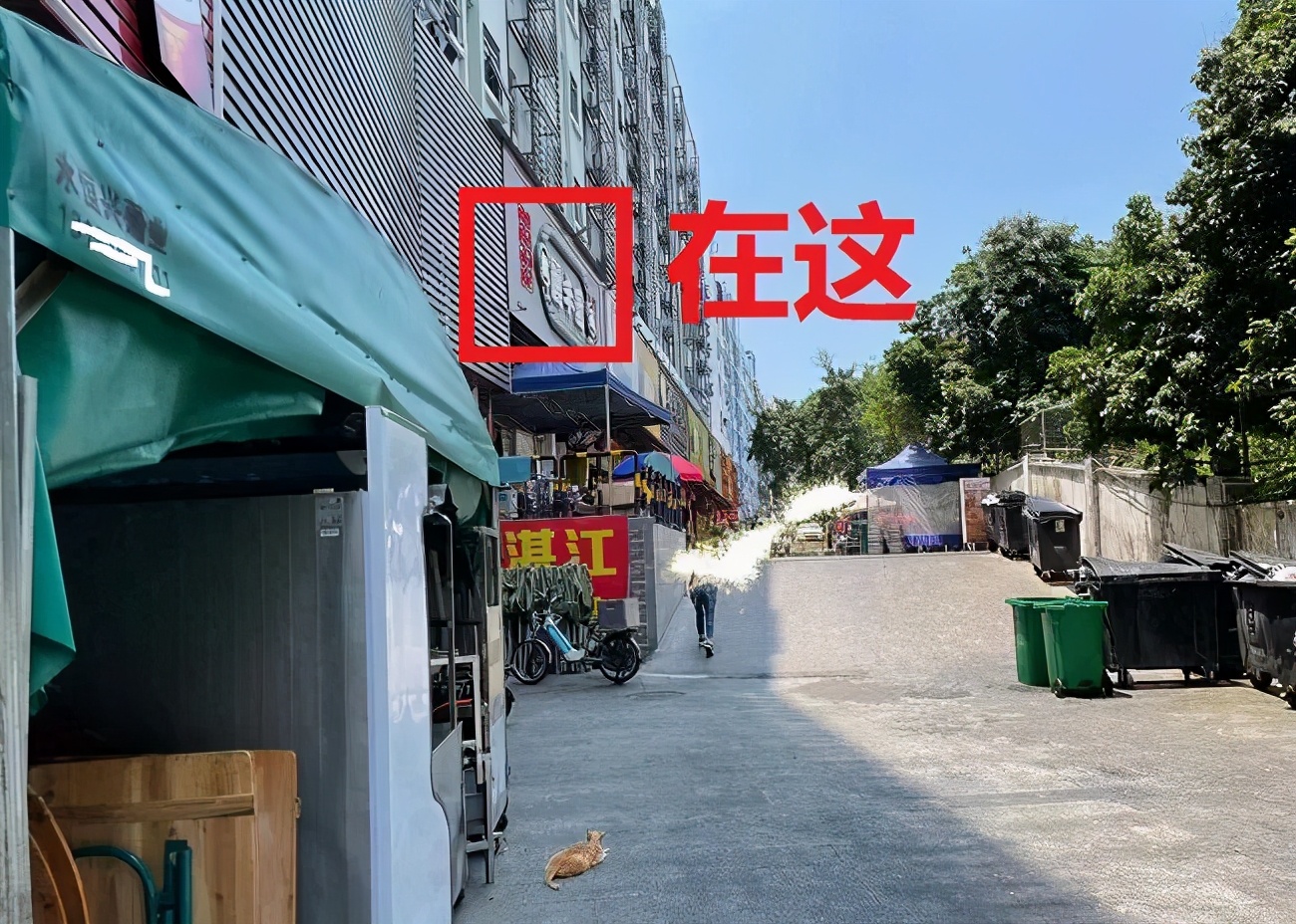 抖音红了的食物,成都自助甜品20元随便吃