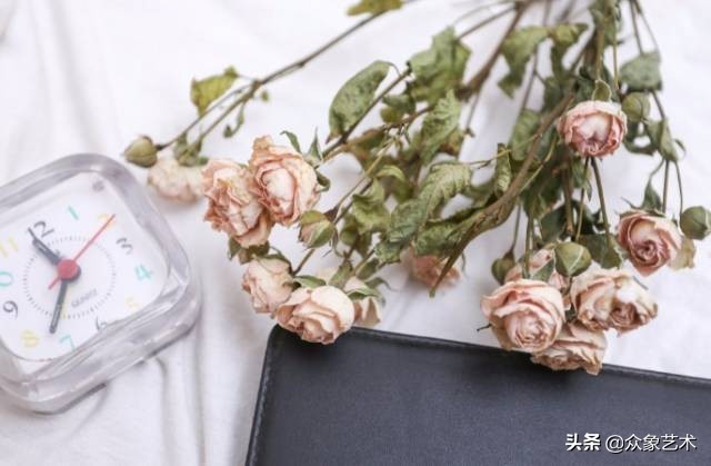 干花布置省钱,什么花适合做干花