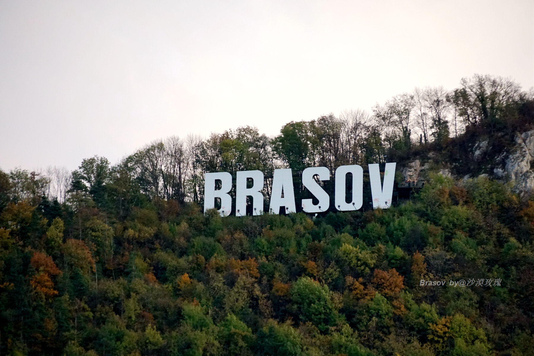 罗马帝国后裔,罗马帝国的后裔