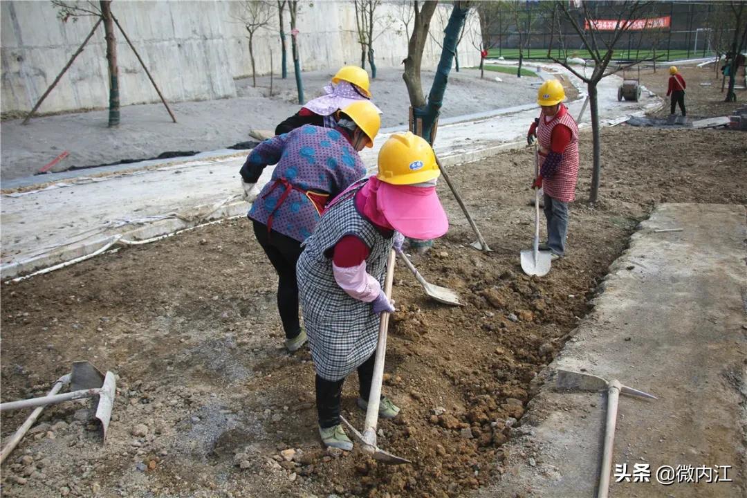 内江大洲广场足球场,内江新足球运动场