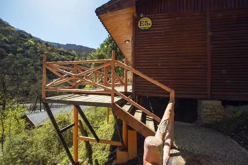 成都自驾百里杜鹃旅游攻略,万亩杜鹃花在青山幽谷