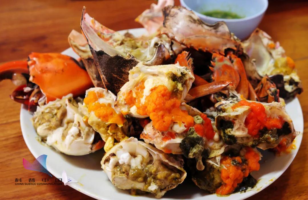 死蟹不能吃,现在母蟹好还是公蟹好