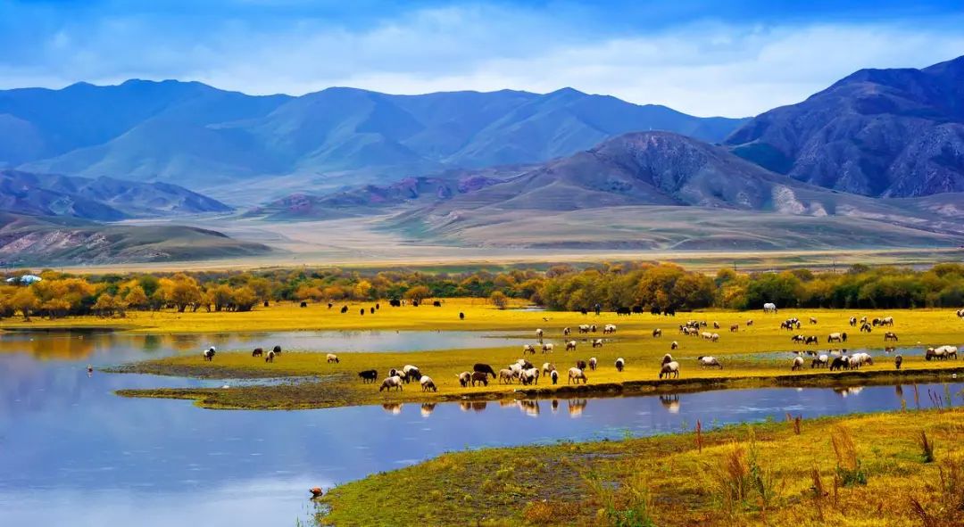 西安甘南自驾最佳线路攻略,甘南自驾3-4天最佳线路攻略