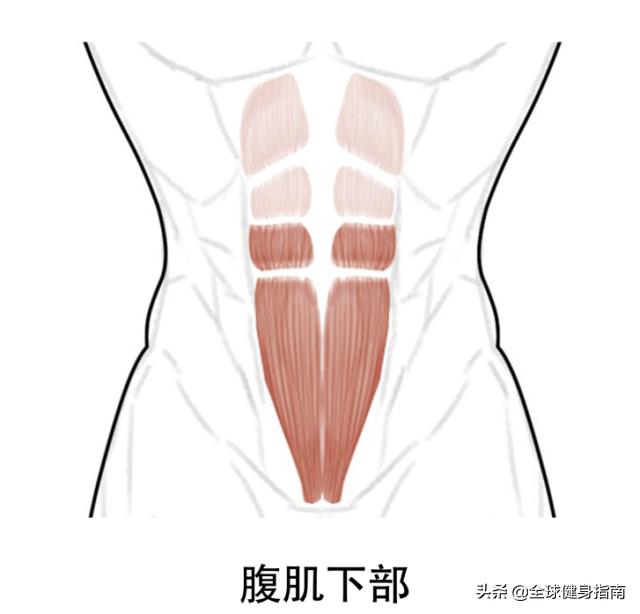 什么样的一步裙不显肚子,什么样的一步裙显瘦