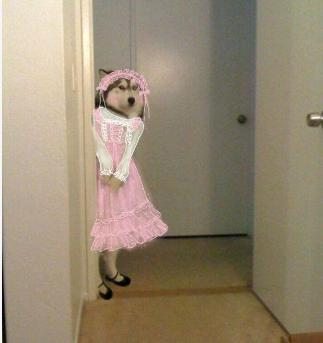 拼多多直通车1块5毛怎么开的,拼多多直通车200怎么花