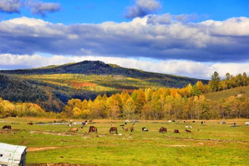 中国消失的8个秘境,国内被封印起来的五个绝美秘境