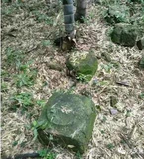 应天山上居然也有“十不得”，陆九渊都笑了……