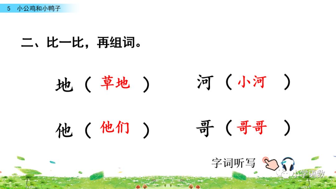 小公鸡和小鸭子一年级下册视频,一年级下语文小公鸡和小鸭子讲解