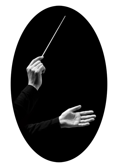 指挥的讲解,指挥视频聊天