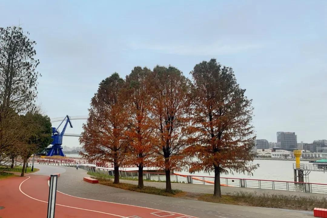 浦东24小时,上海浦东24小时营业