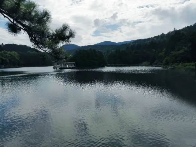 庐山风景到底怎么样,庐山有哪些著名自然景观