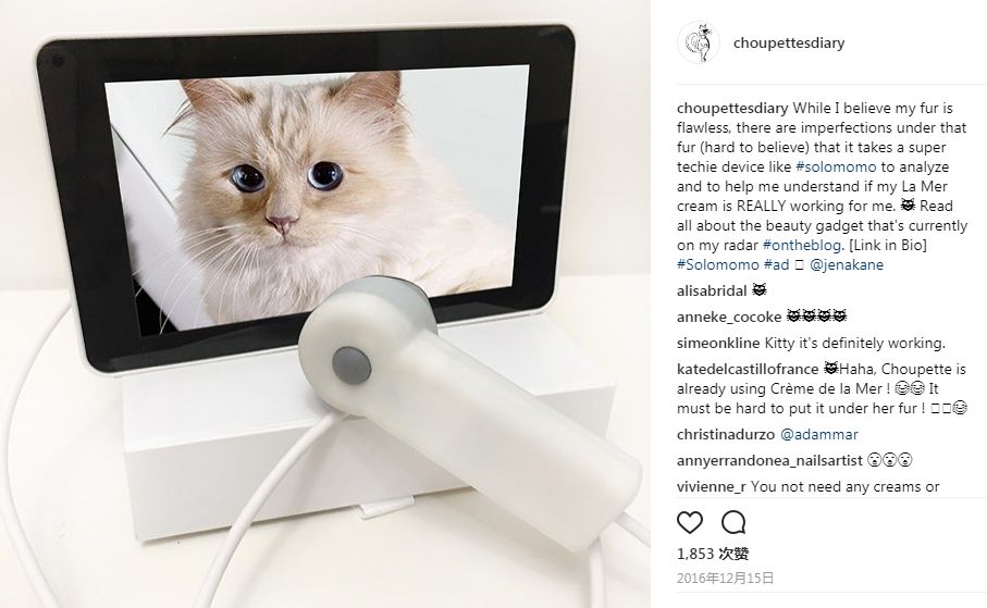 21亿遗产的猫现在怎么样了,失踪多年的猫终于回来了