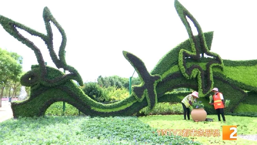 昆明100个立体花坛位置,昆明cop15立体花坛