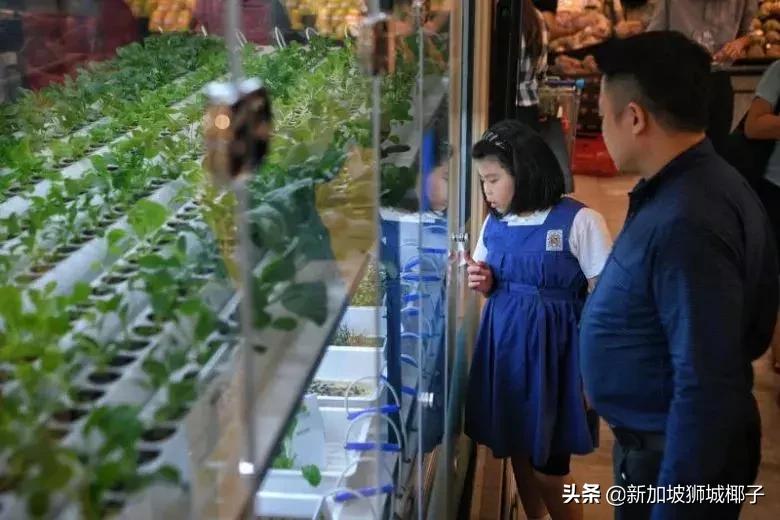 泰国超市奇葩东西,新加坡超市里的东西