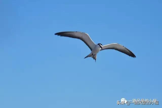 宁波渔山岛旅游攻略,海岛旅游推荐浙江渔山岛