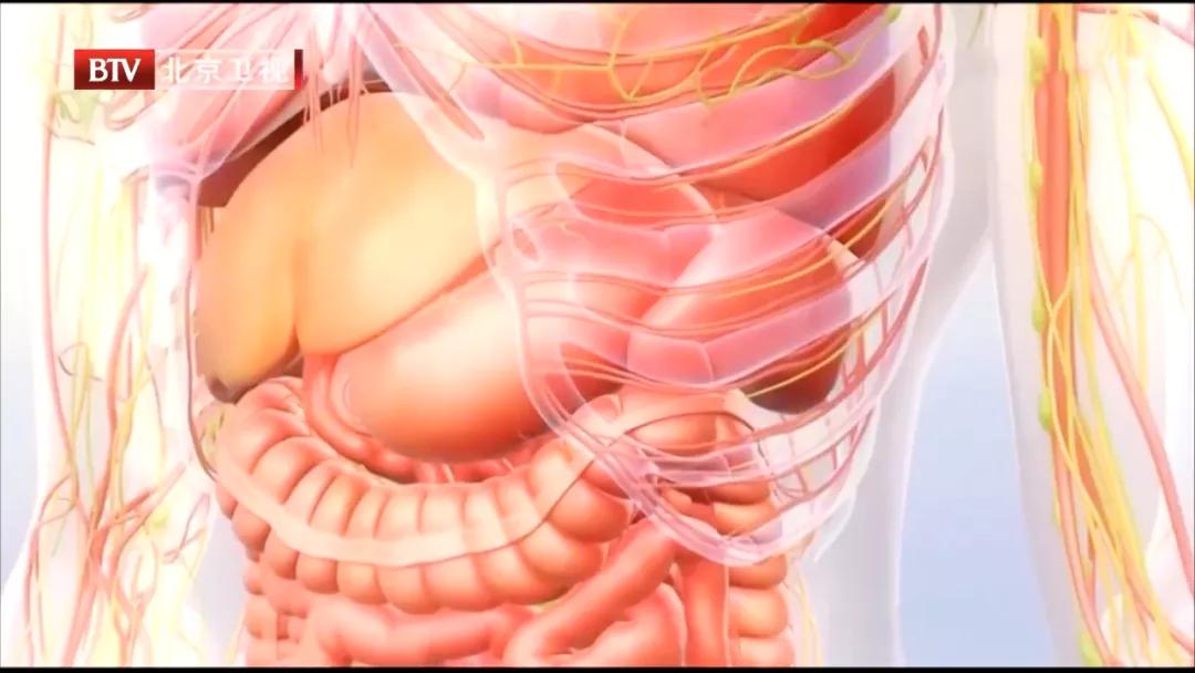 癌症患者护肝食疗,癌症患者吃什么药护肝