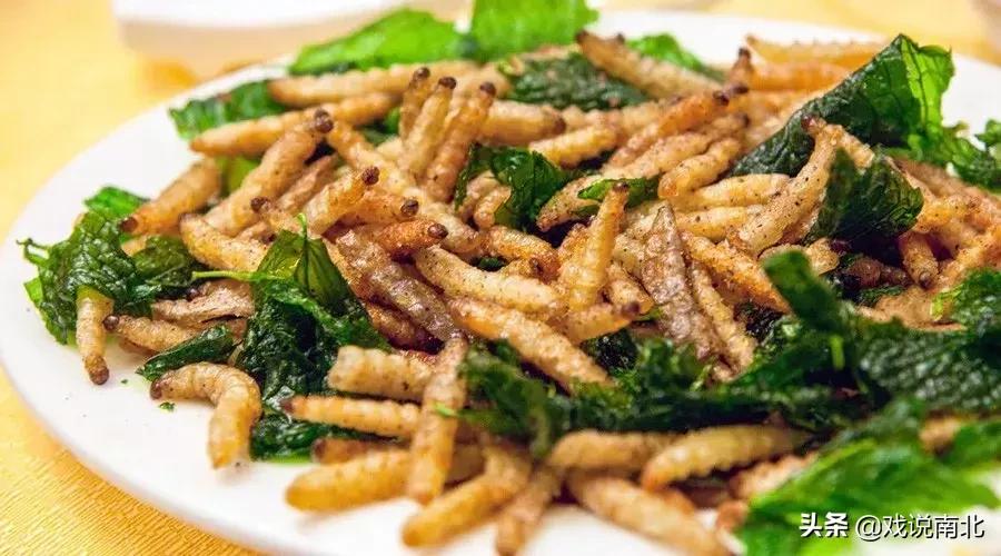地道美食酥炸竹虫推荐,北方无法接受南方七大美食排行榜