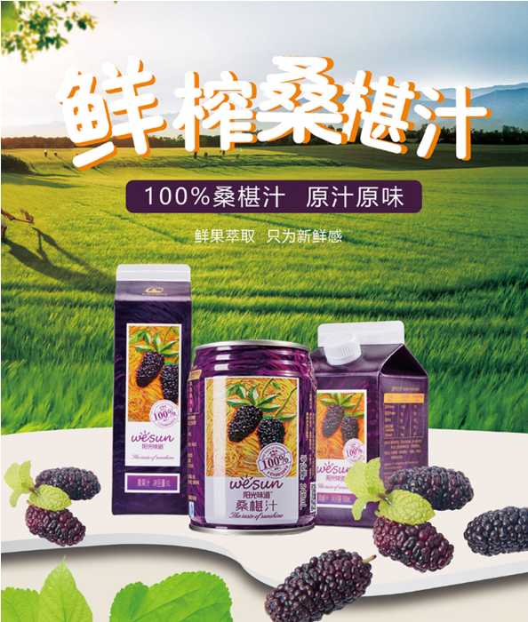 正宗的桑葚汁,桑葚和牛奶打成桑葚汁好喝吗