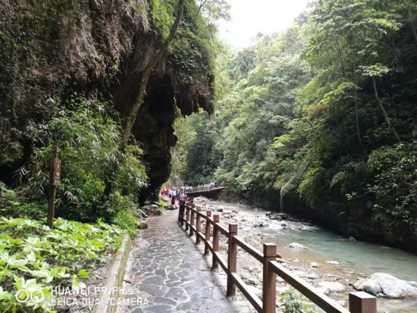 重庆黑山谷避暑适合吗,重庆避暑7天黑山谷