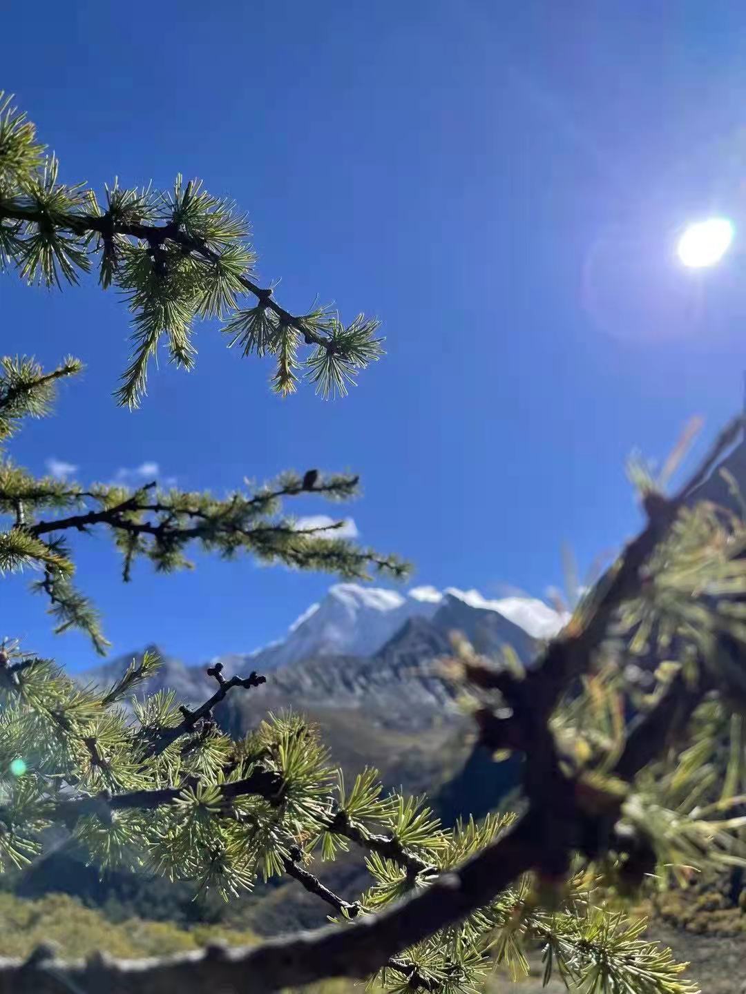 探究DRTA教学法在小学英语阅读中的运用