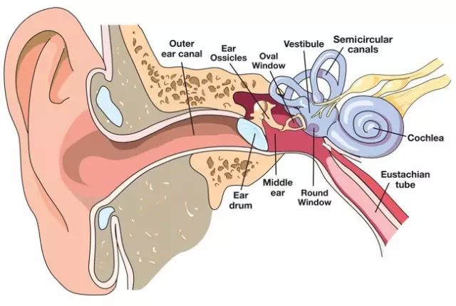 潜水耳压平衡一般什么时候做,为什么潜水要做耳压平衡